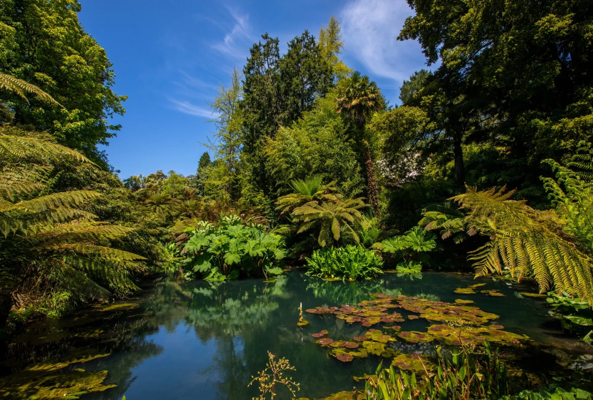 10 of the Best Sea & Nature Inspired Experiences in Cornwall