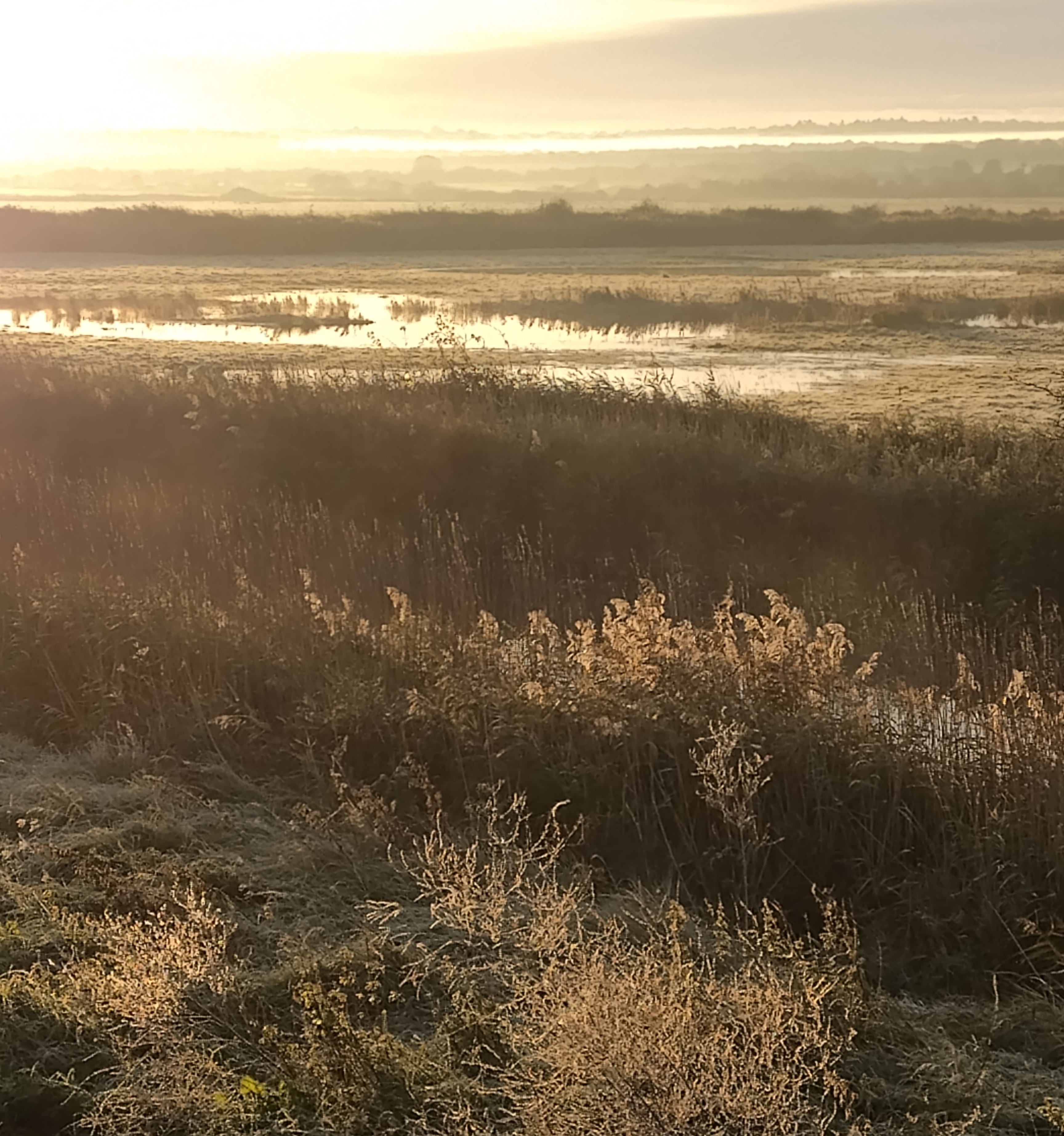 10 Places to Visit in Rural East Norfolk