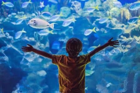 14 Rainy Day Activities To Do With Children In Dorset