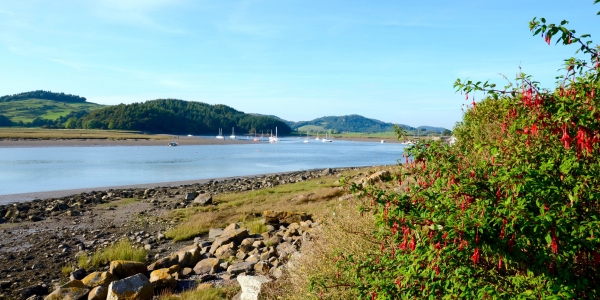 Things to Do in Dumfries & Galloway | Castles, Coastlines, Culture & Hidden Gems